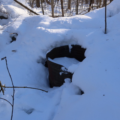 2021-01-31_1426-c26-dowker-island-inside-barn_sq.jpg