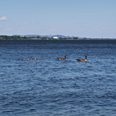 2021-06-17_1437-189-kayak-tour-dowker-bay_sq.jpg