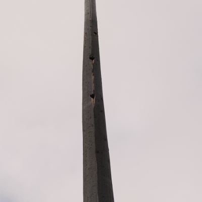 2022-05-19_1645-059-flagpole_th-woodpecker.jpg