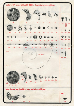 Slava Molnija catalog, back